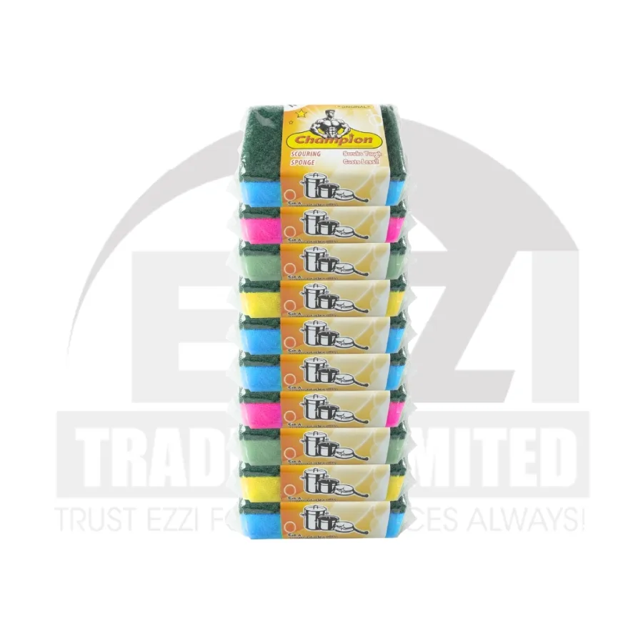 Champion Scouring Sponges (Pack of 10)